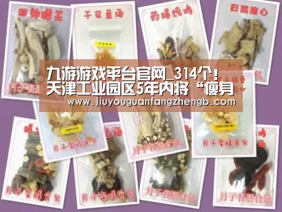 九游游戏平台官网_314个!天津工业园区5年内将“瘦身”(图1) 九游游戏平台官网