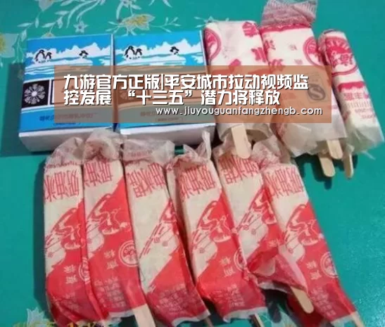 九游官方正版|平安城市拉动视频监控发展 “十三五”潜力将释放(图2) 九游官方网站手机版