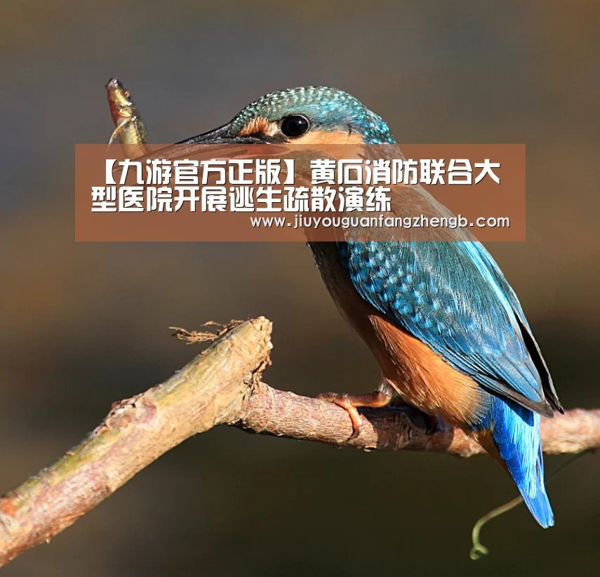 九游官方正版